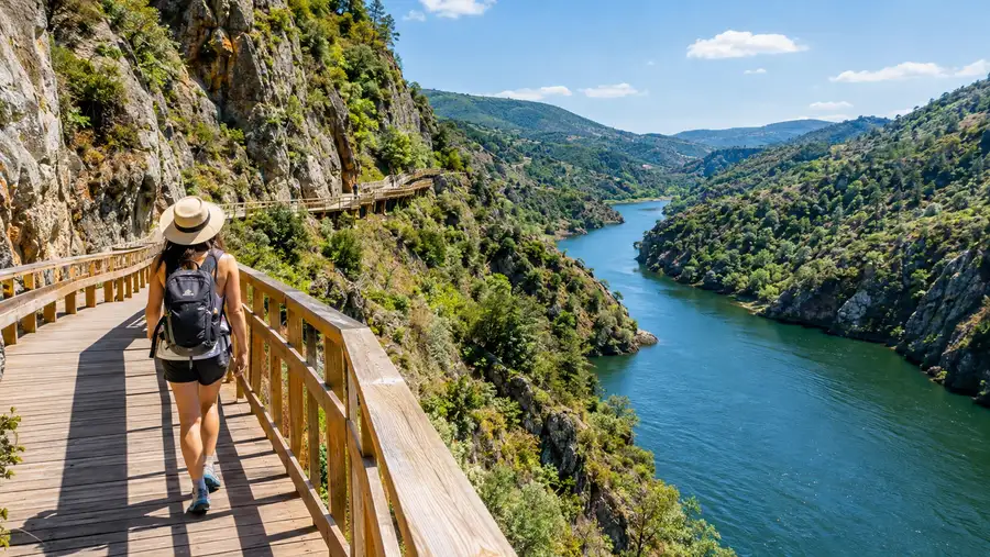 Best Paiva Walkways Tours and Day Trips from Porto