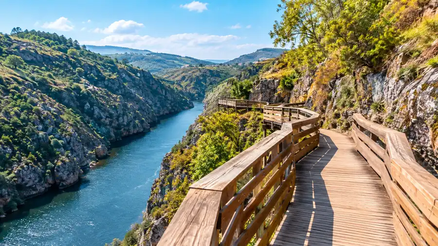 How to Get to Paiva Walkways: By Car, Bus & Public Transport